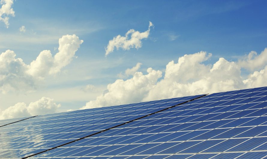Energía solar en España: ¿por qué los inversores ven un gran potencial en los proyectos solares en 2024?