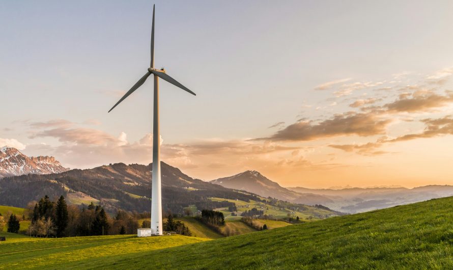 Inversiones sostenibles: Cómo incorporar la energía renovable y obtener ganancias