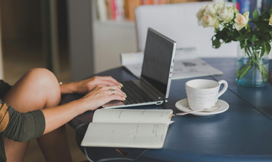 Guía para principiantes: Todo lo que necesitas saber antes de pedir un préstamo en línea